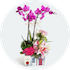 Parseller çiçekçiye orkide siparişi