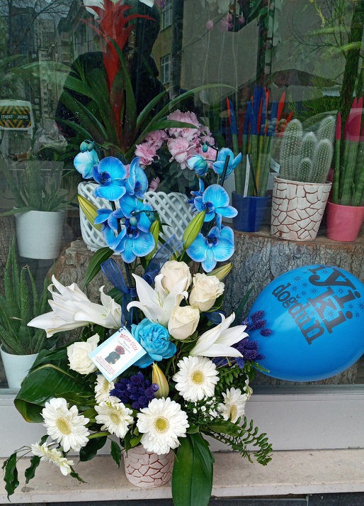 mavi-orkideli-arajman-cicek