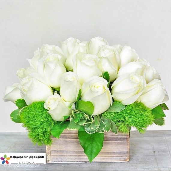 beyaz-guller-buyukcekoece-