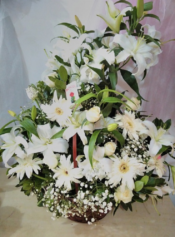 beyaz-guzel-arajman