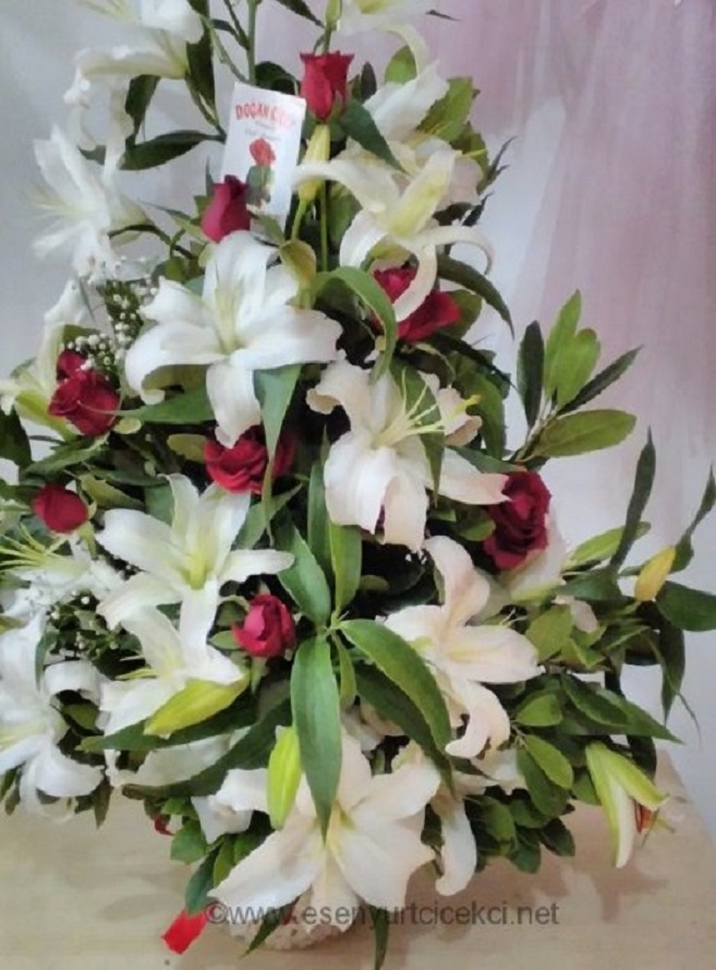 kokulu-lilyum-gul
