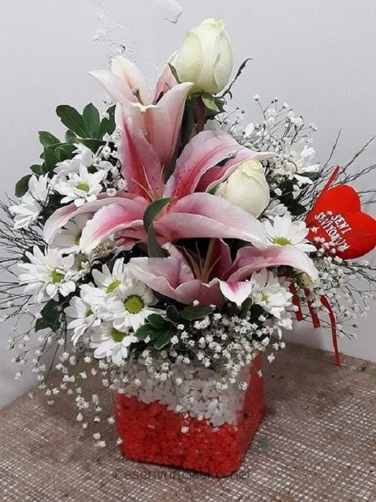 pembe-lilyum-papatya