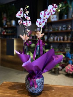 iki-dalli-orkide