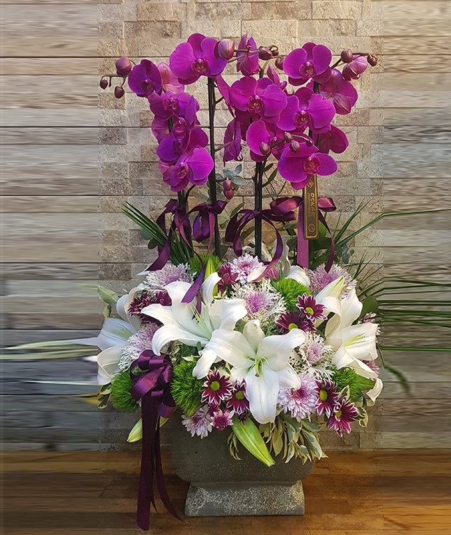 TEPECİK Çiçek Siparişini Adrese Ücretsi Ve Hızlı Teslim edilir - Tepecik çiçekçideYerel Çiçekçi - TEPECİK Nöbetçi Çiçekçi.Tepecik çiçekçiye çiçek siparişi
